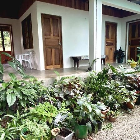 Casa Briza Guest House Nicoya Exterior foto