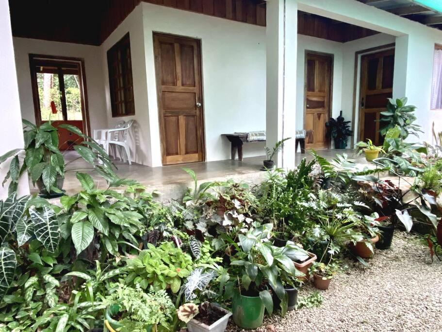 Casa Briza Guest House Nicoya Exterior foto