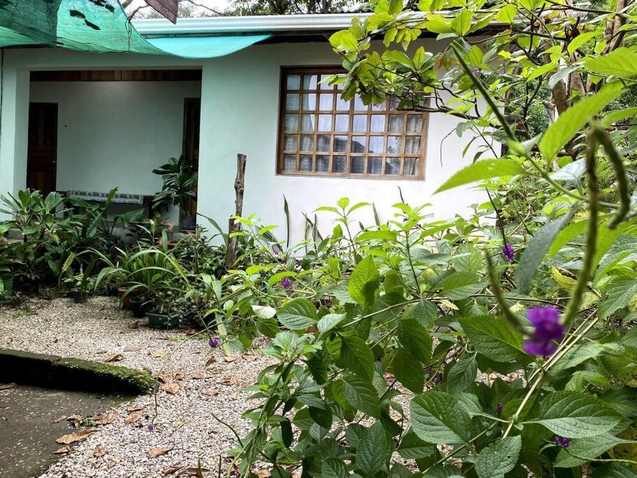 Casa Briza Guest House Nicoya Exterior foto