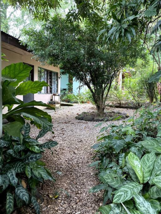 Casa Briza Guest House Nicoya Exterior foto